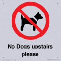 no-dogs-upstairs-please-~